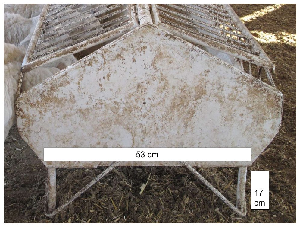 Vista frontal del comedero con medidas de 53 cm de ancho y 17 cm de patas