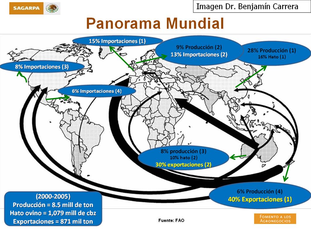 Mapa del panorama mundial del mercado de carne ovina: exportadores, importadores y producción