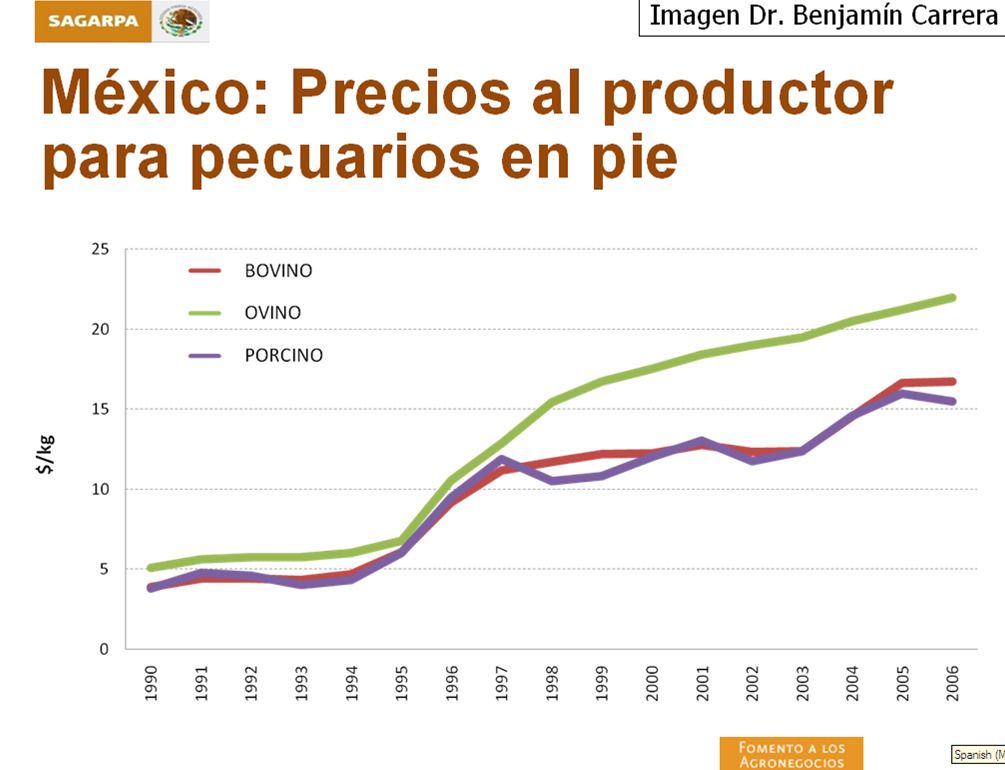 Gráfica de precios nacionales al productor en pie de bovino, ovino y porcino, de 1990 a 2006: el ovino sube más